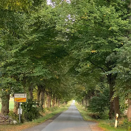 Tatil Evi Idyllisches An Der Ostsee Rerik